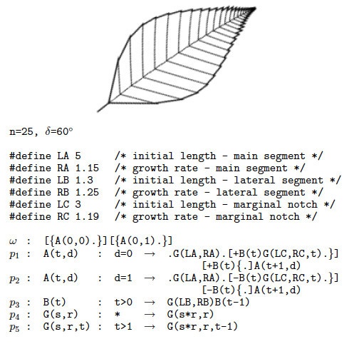 L-Systems — математическая красота растений - 10