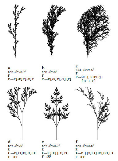 L-Systems — математическая красота растений - 5