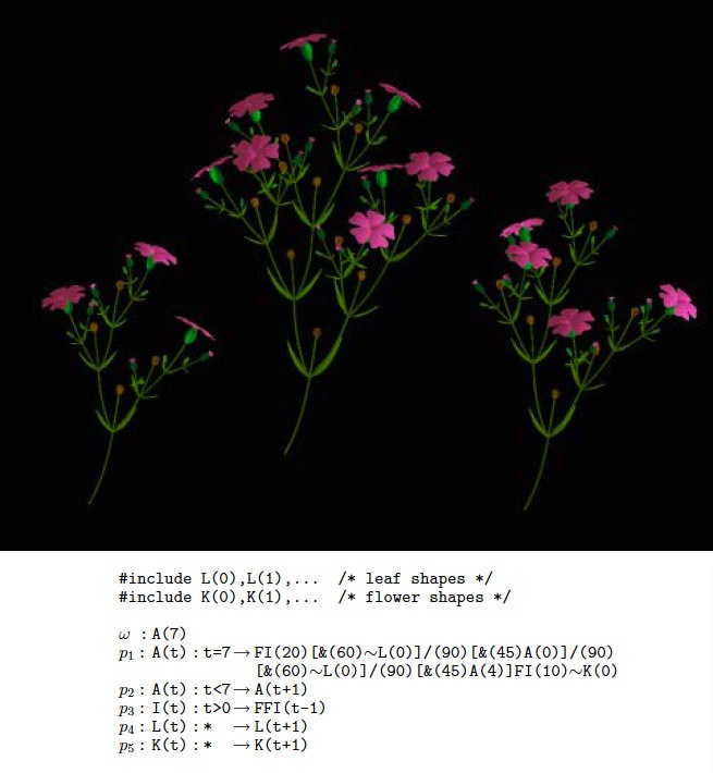 L-Systems — математическая красота растений - 8