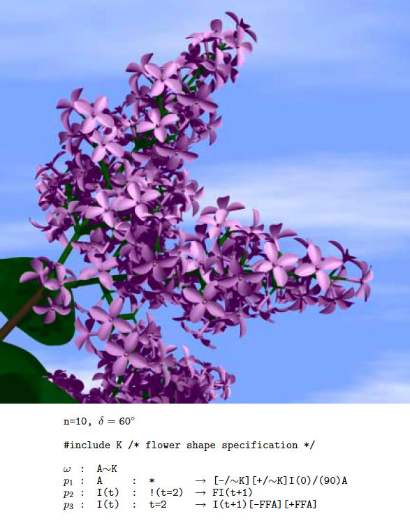 L-Systems — математическая красота растений - 9