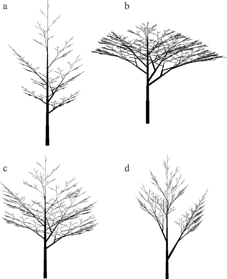Рисунок 2.6. Примеры моноподиальных древоподобных структур Хонды, полученные на L-systems.