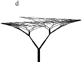 Рисунок 2.7d. Модели деревьев с симподиальным ветвлением Эоно и Кьюниай, полученные на L-systems.