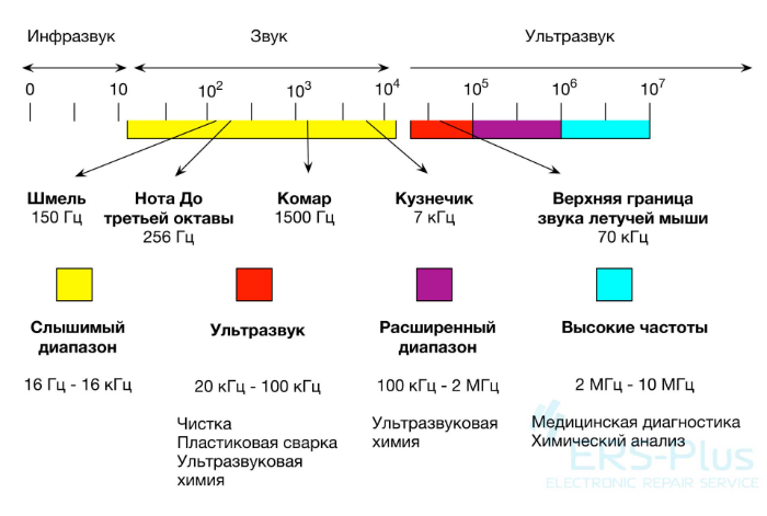 Растения издают звуки когда им плохо, а насекомые это учитывают - 1 Растения издают звуки когда им плохо, а насекомые это учитывают - 1
