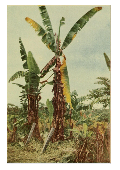 — Братан, ты как? — Не очень.