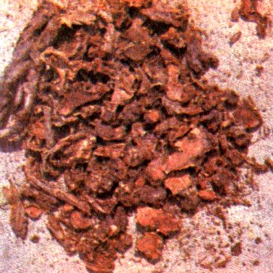 Родиола розовая (Rhodlola rosea L.) / Herbal Expert